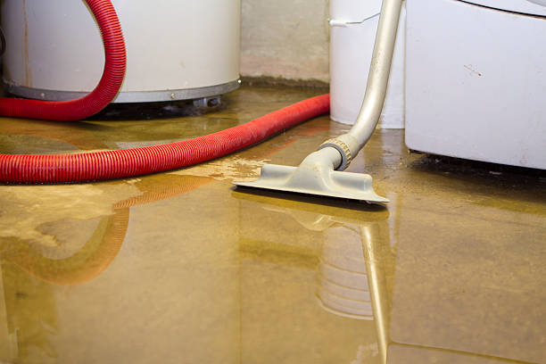 Trusted Guadalupe, CA Water damage restoration Experts